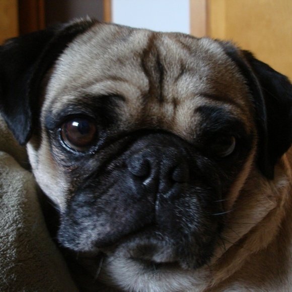 Meet your Posher, Jen - Picture 3 of 5